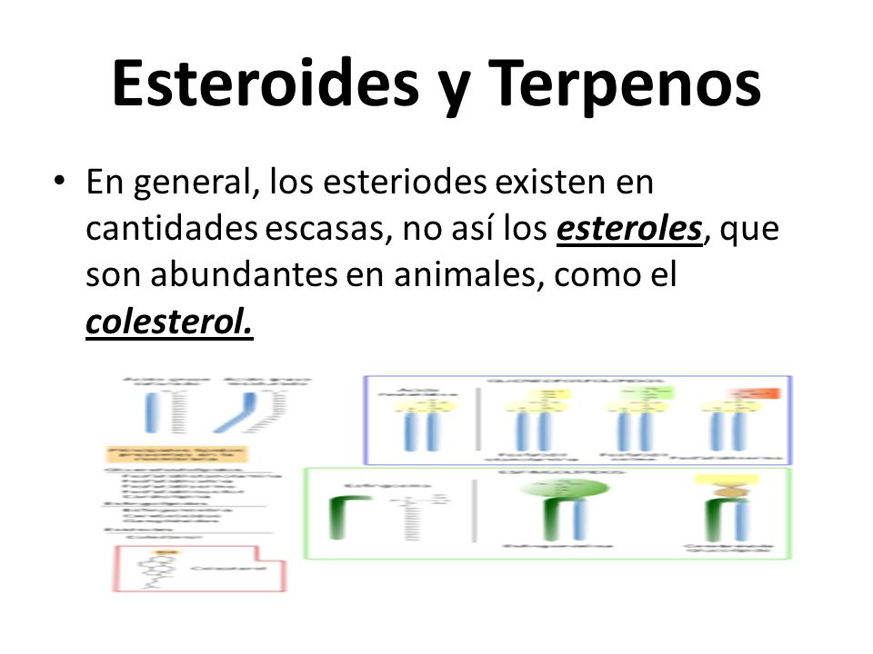 TERPENOS Y ESTEROIDES EPUB DOWNLOAD TERPENOS Y ESTEROIDES EPUB DOWNLOAD